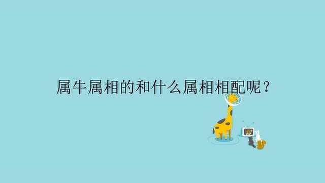 属牛属相的和什么属相相配呢?