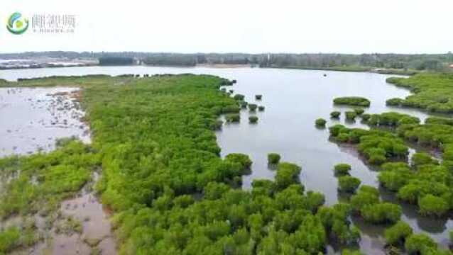 瞰海南:海南临高山水之景醉游人