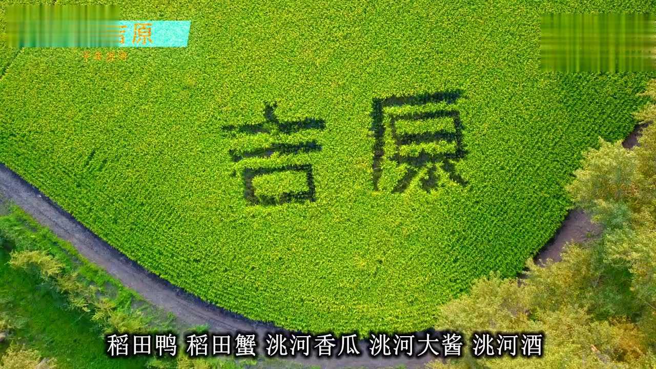 洮河农场吉原有机大米宣传片2