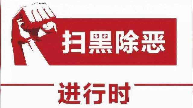 谷城“陈少峰等20人涉黑案”一审宣判,“三哥”获刑25年