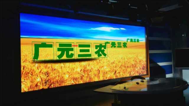 《广元三农》“两不愁 三保障”回头看——教育扶贫在行动