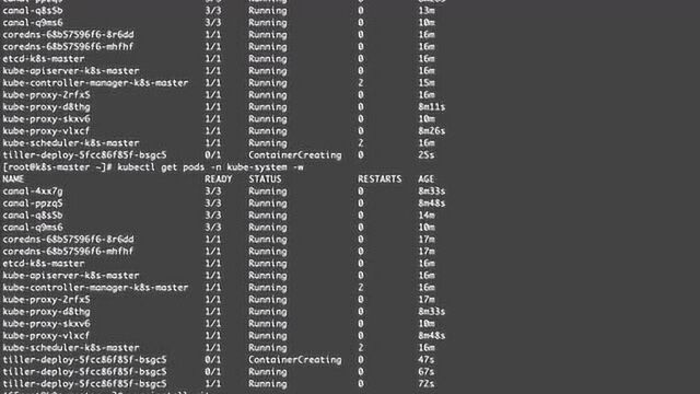 k8s进阶篇/1.4单主节点Kubernetes集群搭建