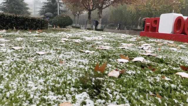 西安下雪南方人坐不住了:尖叫拍视频分享,相约打雪仗