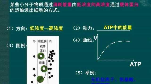 第三章 细胞的代谢 第三节课