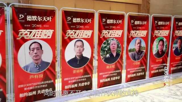 德默尔天叶2019品牌战略盛典