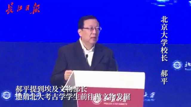 北大考古学真有国际范儿!埃及文物部长都请他们去考古