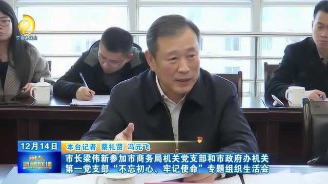 梁伟新市长参加市商务局和市政府办“不忘初心、牢记使命”专题组织生活会