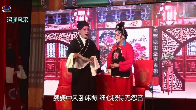 【全本】花鼓戏《带着婆婆改嫁》