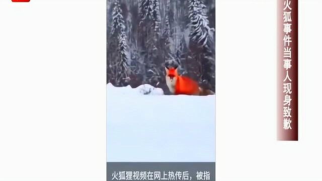 雪地火狐狸火遍网络 当事人澄清致歉:只是普通狐狸 靠的后期调色