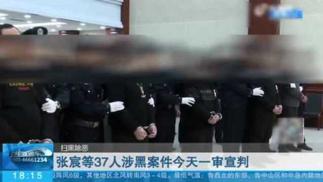 寻衅滋事、敲诈勒索、非法拘禁 张宸等37人涉黑案件一审宣判