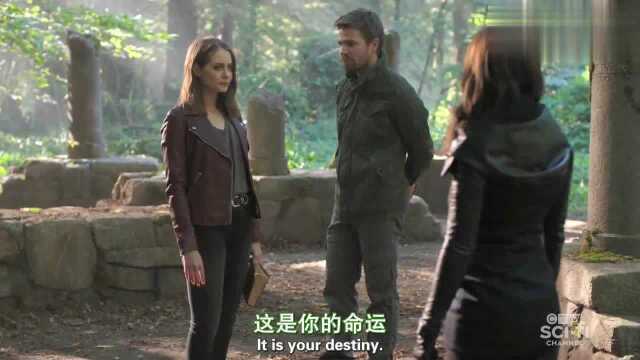 《绿箭侠第八季》S08E03西娅VS塔利亚