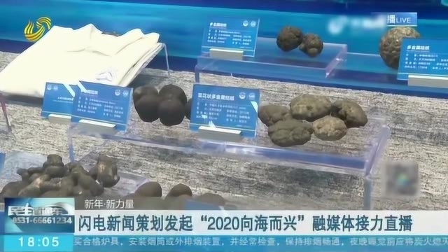 闪电新闻策划发起“2020向海而兴”融媒体接力直播 展现山东海洋