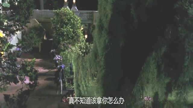 外国岳父竟嫌弃功夫皇帝矮浓缩就是精华,这都不懂啊!