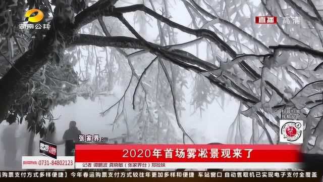 湖南迎来2020年首场雾凇景观,广东游客第一次看见反应绝了!