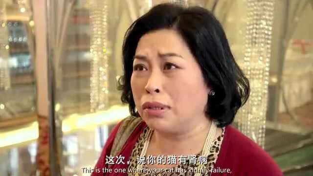 天生爱情狂,婆婆为了见男子一面,随身带杂志