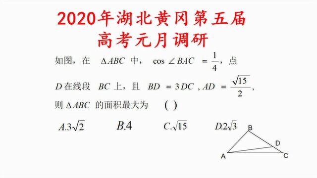 2020届黄冈中学,理科数学期末考,选择压轴题