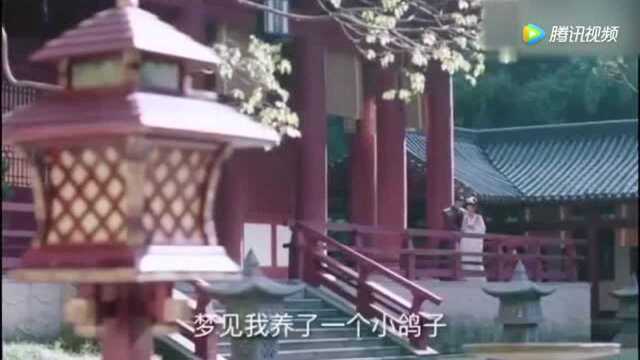 般若和男子寺庙私会!般若不幸流产!