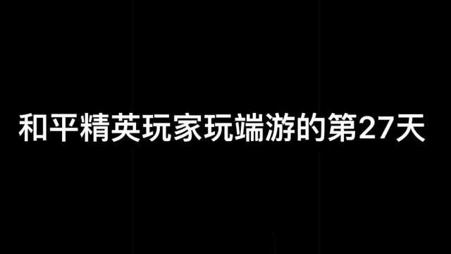 和平精英玩家玩端游27天