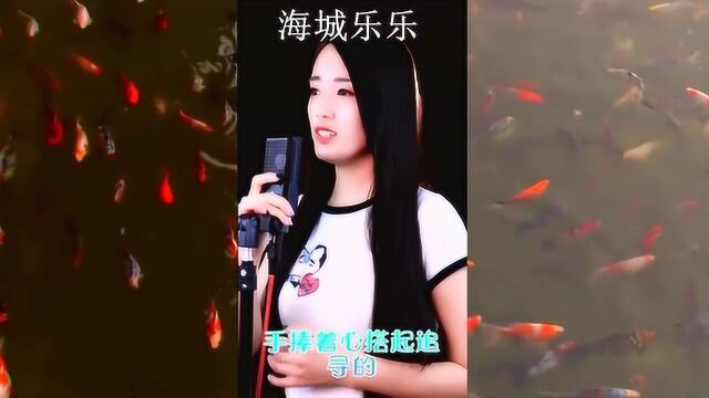 快手直播52季