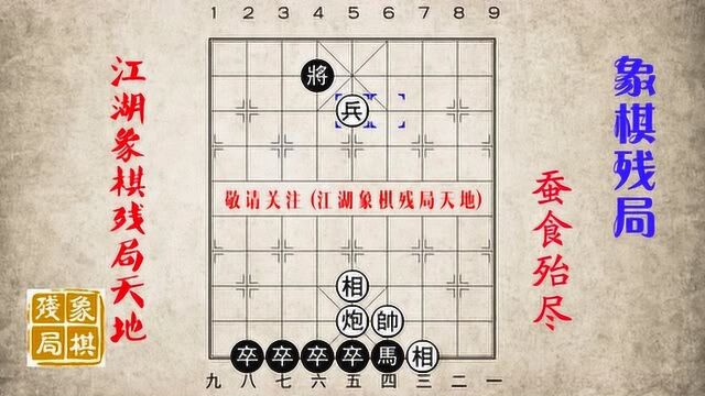 蚕食殆尽老头儿摆的300一盘象棋残局,技法高妙,不一般