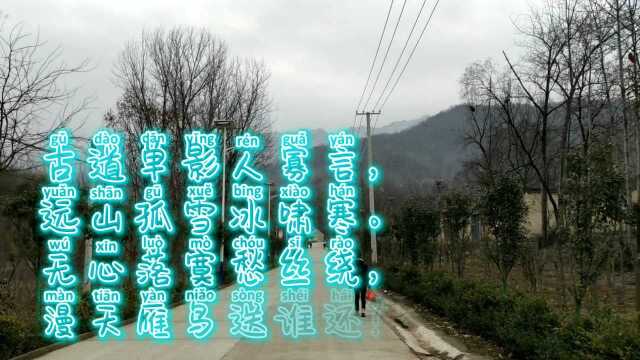 清露古诗词:《古道单影》,无心落寞愁丝绕,漫天雁鸟送谁还?