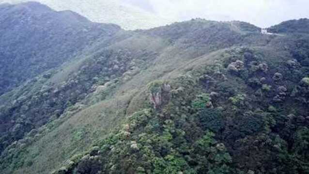 航拍大山里的风景,这个亭子在山峰上回路转