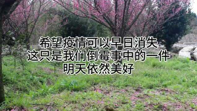 这场疫情给你们造成了什么样的影响?国家电网按下暂停键,标书萝莉在家