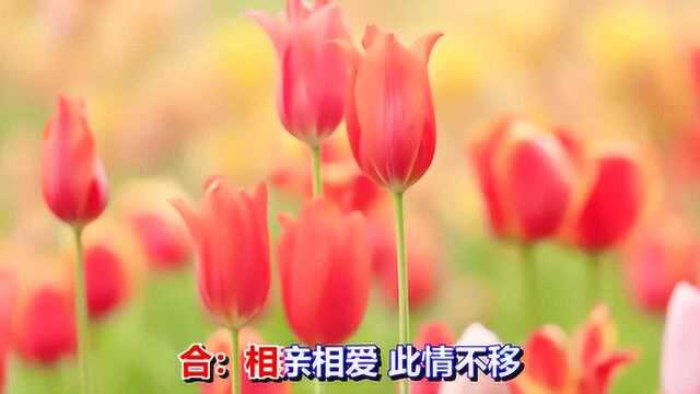 一首非常好听的歌曲《幸福因为有你》