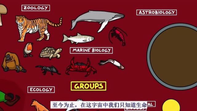 生物学简史——帮你快速梳理生物学知识的脉络