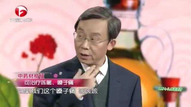 中医教你泡药酒:中药材”桔梗“的疗效是什么?