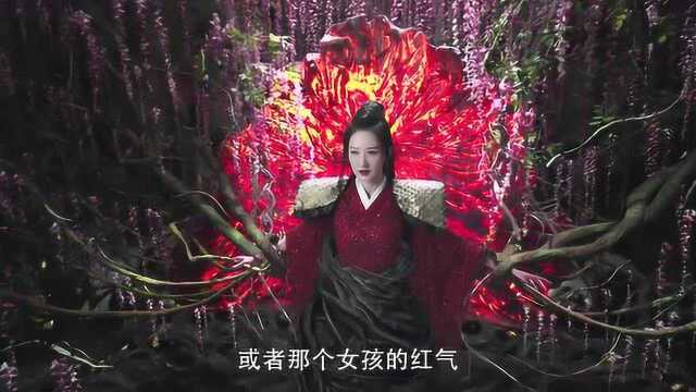 三生三世枕上书:魔尊看清帝君心里的秘密,她想拿到凤九的红气