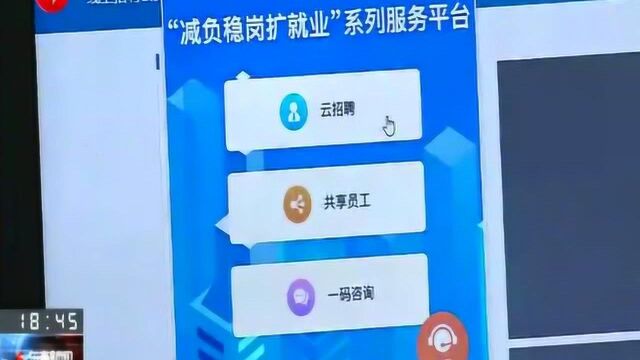 生产、防疫两手抓!上海:浦东搭建寻找员工两大“云平台”缓解企业用人难题