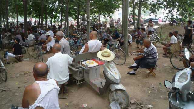 大妈小树林疯狂“卖淫”,价格低廉,附近老人带着盒饭排起了长龙!