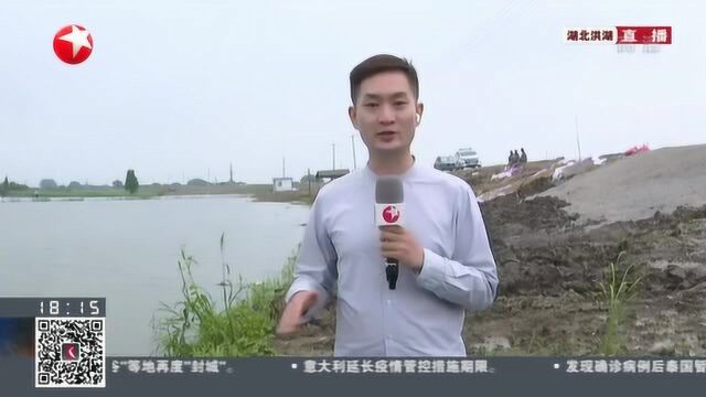 湖北洪湖:洪狮大堤抢险持续