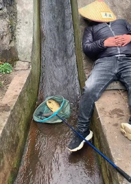 今天给大家诠释一下，什么叫做自投罗网