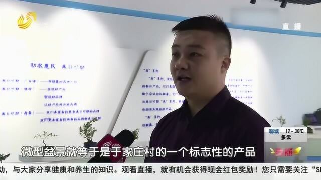 临沂:玩转直播经济 农民直播销售微型盆景 贫困小山村富起来了