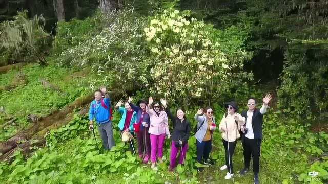 徒步香格里拉千湖山,一步十景醉人心!