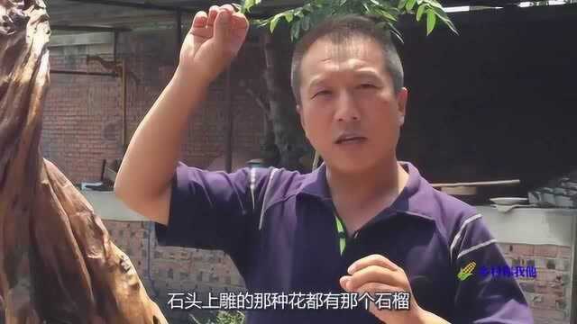 上百年的石榴木,40000块小伙都不卖,却无偿捐给景区,为什么