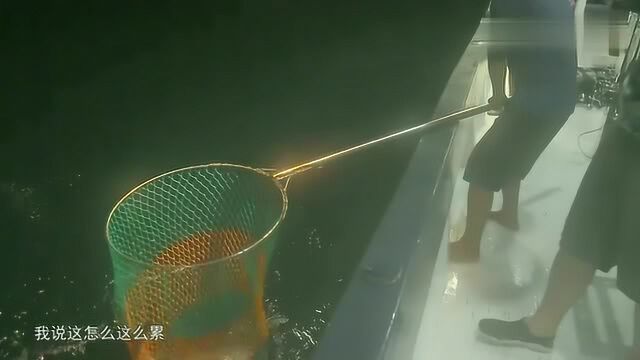 海钓:小伙深海爆钓大型牛港鲹,原来钓的这么累,真面目是它啊!