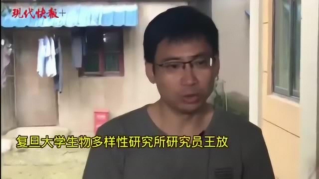 特殊野生动物调查员“追踪貉”正式上岗!