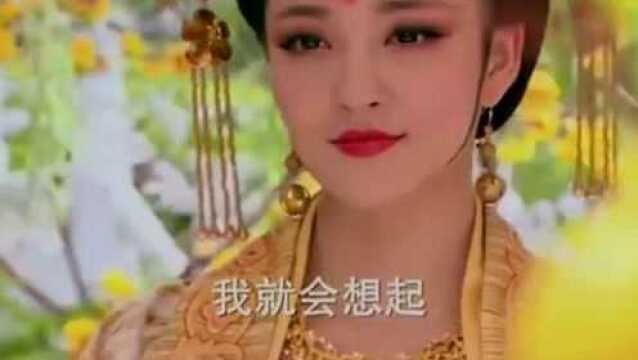 宠妃生了两个女儿,一个养尊处优一个习武念书,差距太大了