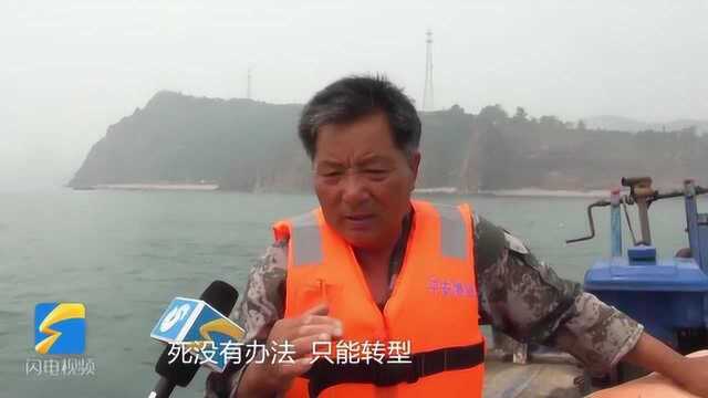 蹲点乡村看振兴丨从打渔到“种藻”!看长岛孙家村老渔民的生态转型记