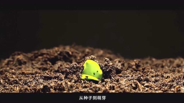 专业的秘密:电子科技大学生物医学工程类专业