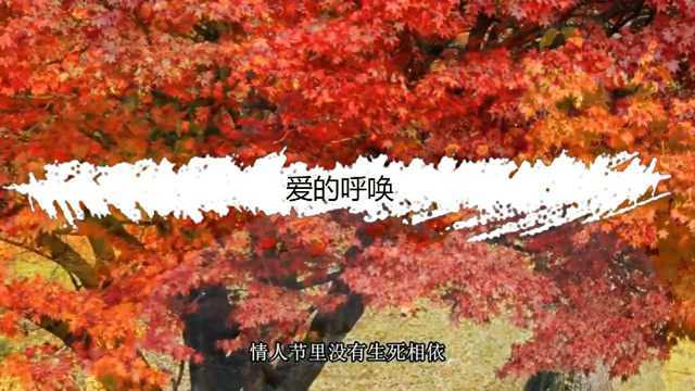 细拉之声诗歌:爱的呼唤