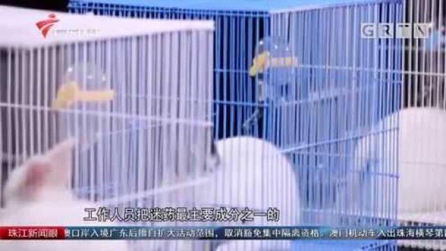 记者调查:“迷情水”在网络上偷偷售卖