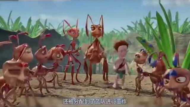 2006电影~别惹蚂蚁1