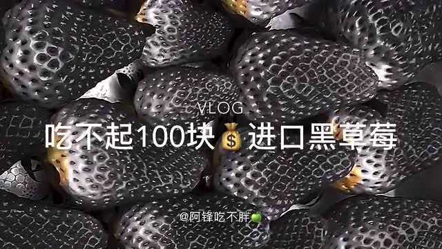 100块一个的进口黑草莓,你们吃过吗