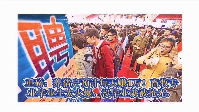 重磅:养猪户预计每天赚1万!畜牧专业毕业生太火爆,没毕业就被抢光!