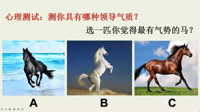 心理测试:测你具有哪种领导气质