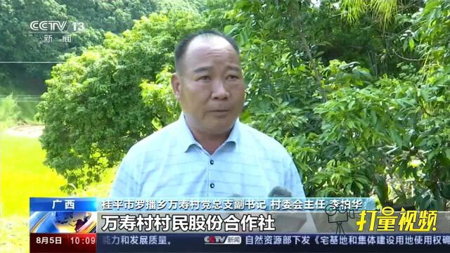 广西桂平:“广西第一人口大县”脱贫创富|央视网